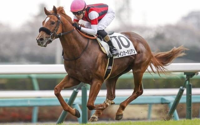 【今日の注目ポイント】京都でスワンSと東京でアルテミスS アーモンドアイの初仔がデビュー