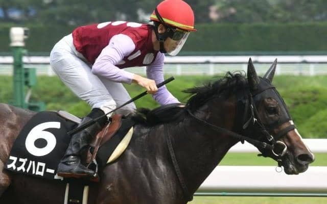 【スワンS予想】マイラーとスプリンターが秋の京都で一堂に会する マイルCSへの切符かけた戦い