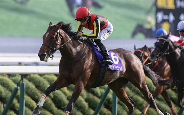 【競馬予想】天皇賞・秋は、三冠牝馬リバティアイランドにとって試金石の一戦となる