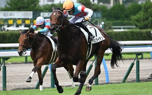 GII・2勝馬の弟 萩Sでデビュー2連勝なるか