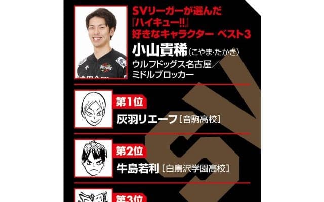 【ハイキュー‼×SVリーグ】ウルフドッグス小山貴稀から見た『ハイキュー‼』は「教科書」　「雑草」がSVリーガーになるまでを振り返る