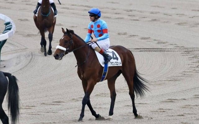 【新馬/東京5R】アーモンドアイの仔 アロンズロッド初陣は4着まで…パーリーラスターがV