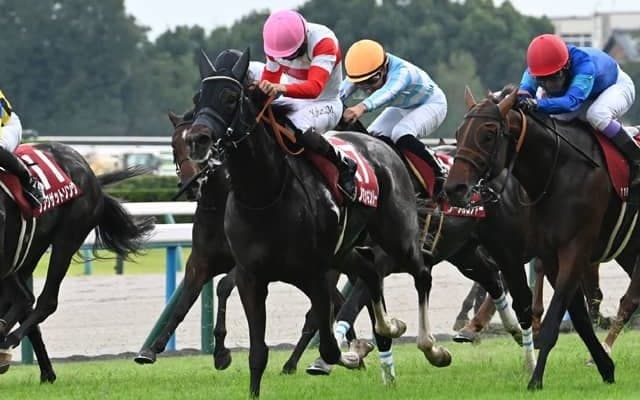 【スワンS結果】3歳馬ダノンマッキンリーが差し切り重賞2勝目！