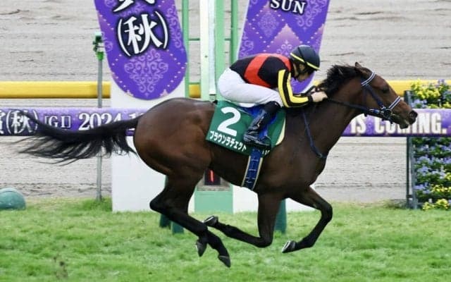 【アルテミスS】超良血ブラウンラチェットがデビュー2連勝