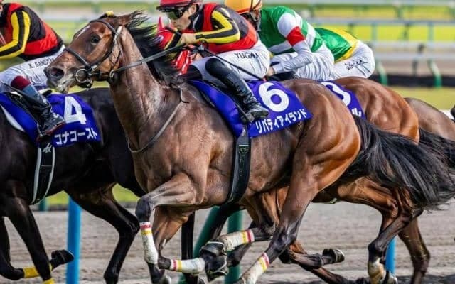 【天皇賞(秋)前日オッズ】リバティアイランドが2.5倍で1番人気