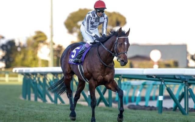 【AI予想・天皇賞(秋)】近年は上位人気馬が強さを見せる！ 本命は近走のリベンジに燃える実力馬