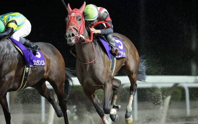 【岩手競馬】すずらん賞見どころ…ノーブルサターン、ミニアチュールなど有力馬が出走