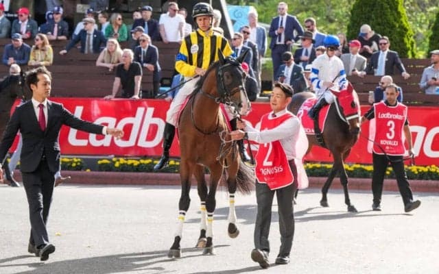 【コックスプレート】中内田師「勝った馬が強かった」プログノーシスは2着