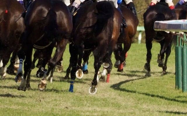 【スワンS】松山「まだまだやれる馬」ダノンマッキンリーが重賞2勝目