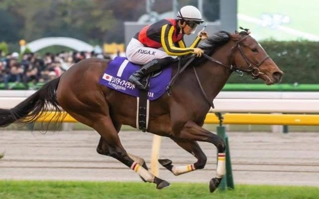 【今日の注目ポイント】昨年の三冠牝馬リバティアイランドが天皇賞(秋)で復帰