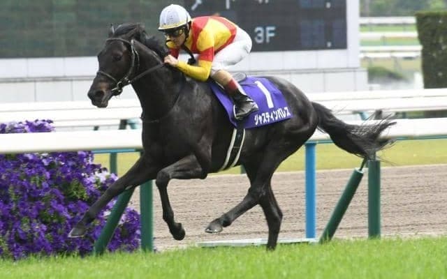 【天皇賞(秋)予想】今年も好勝負必至か 総合力が問われる“秋の盾”