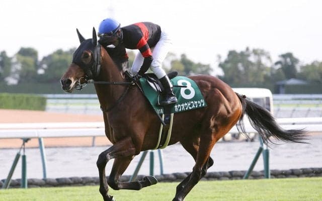 【競馬予想】天皇賞・秋は現役トップクラスが集結も波乱含み...浮上可能な穴馬は２頭