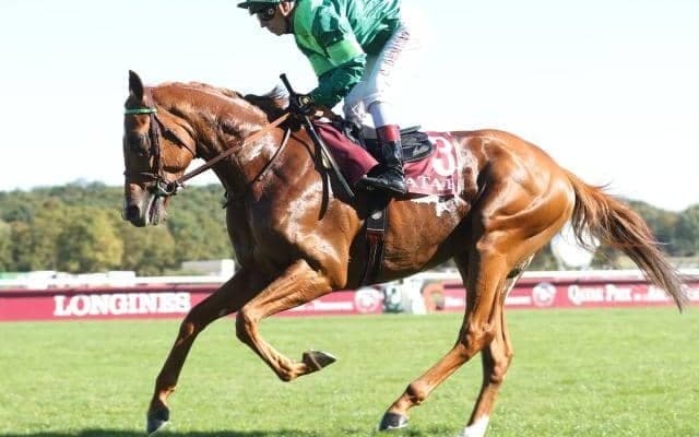 日本軽種馬協会が凱旋門賞馬ソットサスほか3頭の導入発表