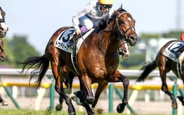 【天皇賞(秋)予想】数字が示すリアルな上位傾向とは？ 過去データから探るGI天皇賞(秋)