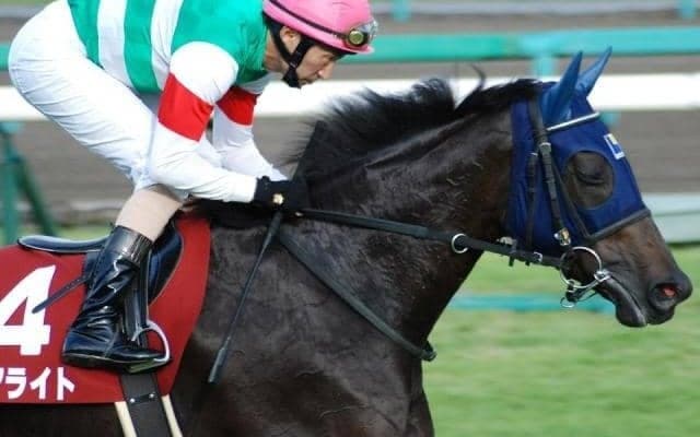 母はGI・2勝のマリアライト ロジャリーマインが川田将雅騎手でデビュー勝ち狙う