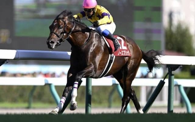 天皇賞(秋)はスローペース必至 ノースブリッジの粘り込みに注