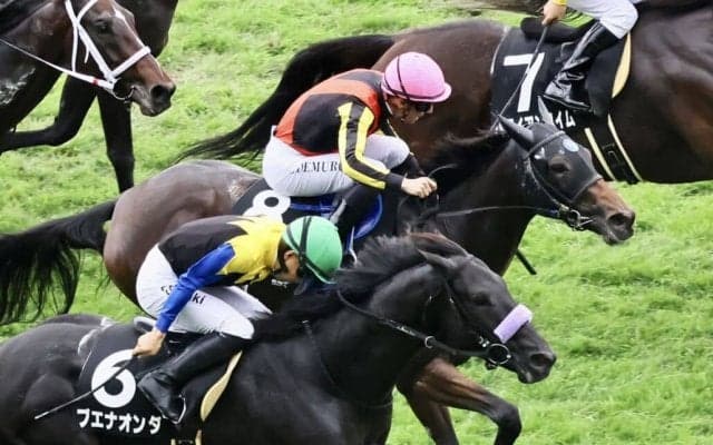 【国立特別】C.デムーロが本日6勝目！ミエスペランサで差し切りV
