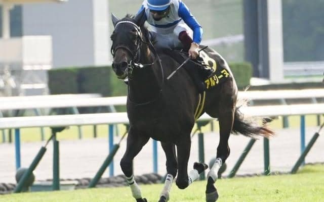 【カシオペアS結果】アルジーヌが押し切りオープン初勝利