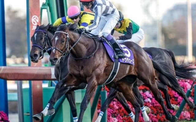【天皇賞(秋)結果】ドウデュースが直線一気V！ 昨年の無念を晴らすGI・4勝目！