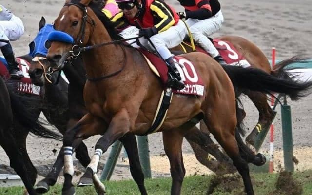 JRAではAR共和国杯など4重賞 米BCに日本馬が多数出走/今週の競馬界の見どころ