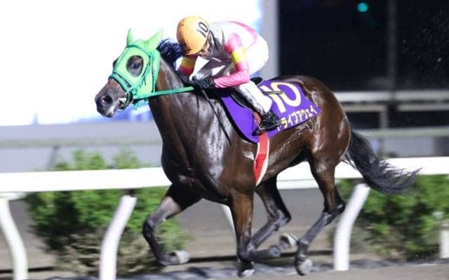 【ネクストスター高知】ドライブアウェイが無傷の4連勝…多田羅「時計を見てびっくりした」