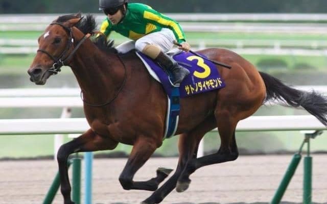 有馬記念優勝馬や最優秀2歳牝馬など活躍馬多数 日本競馬で存在感を増す“アルゼンチン血統”