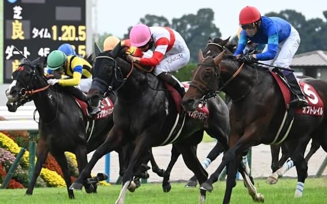 【スワンS】売上は39億2552万3800円で昨年より約7000万円減少