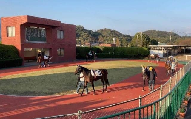 日本唯一の右回りパドックなのはなぜ？ JBC開催の佐賀競馬に聞いてみると