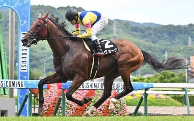 【AI予想・AR共和国杯】前走4着以下は人気やレース格に注意！ 本命候補は長距離適性が魅力な3頭