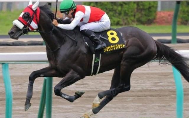 JRA重賞馬の史上最高額更新なるか 2.6億円シルバーステート産駒がアルゼンチン共和国杯で重賞初V狙う