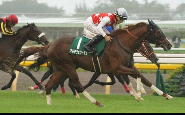 【サウジアラビアRC】アルテヴェローチェがデビュー2連勝…断然人気アルレッキーノは5着