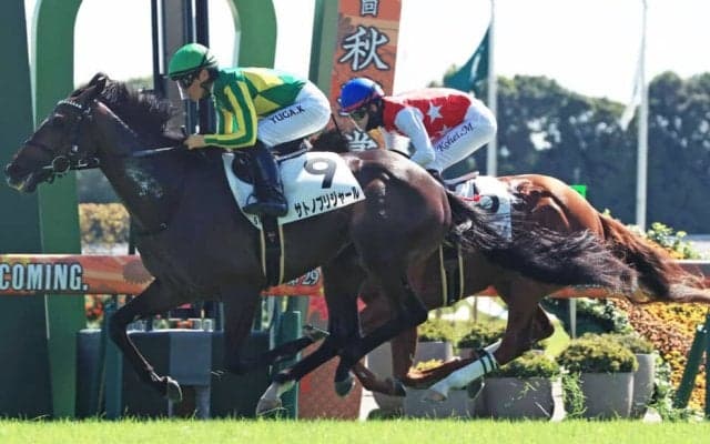 【新馬/京都5R】良血サトノブリジャールがデビューV