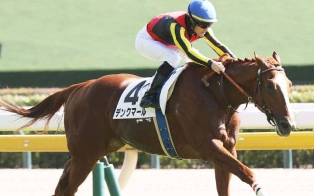 【新馬/東京5R】母リリーノーブルのデンクマールが完勝…母ディアドラのシオーグは最下位