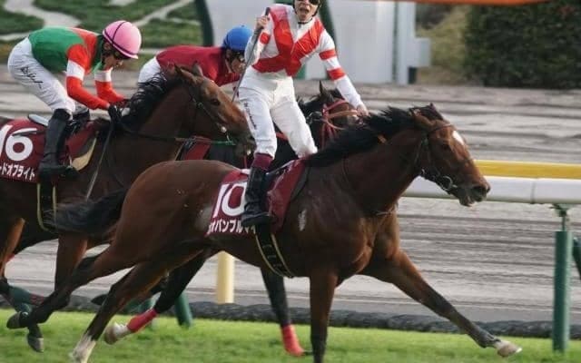 3連単222万円の“大盤振る舞い” 後の5億円レース勝利馬が凱歌を揚げた京王杯2歳S