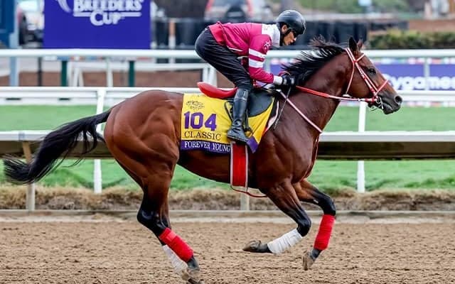 【米・BCクラシック枠順】日本のフォーエバーヤングは1番、ウシュバテソーロは7番、デルマソトガケは6番ゲートに