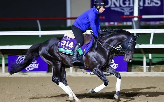 【米・BCターフ枠順】日本のシャフリヤールは3番、ローシャムパークは1番ゲートに