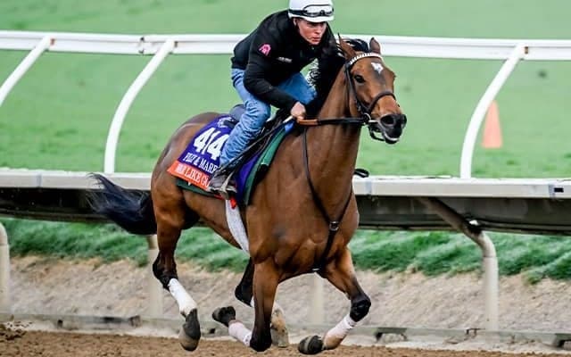 【米・BCF＆Mターフ枠順】ウォーライクゴッデスは4番、木村和士騎手騎乗のハングザムーンは8番ゲートに