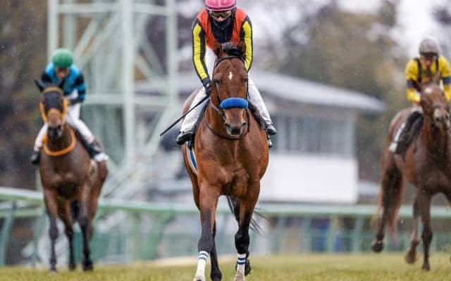 【AR共和国杯予想オッズ】クロミナンスが予想1番人気