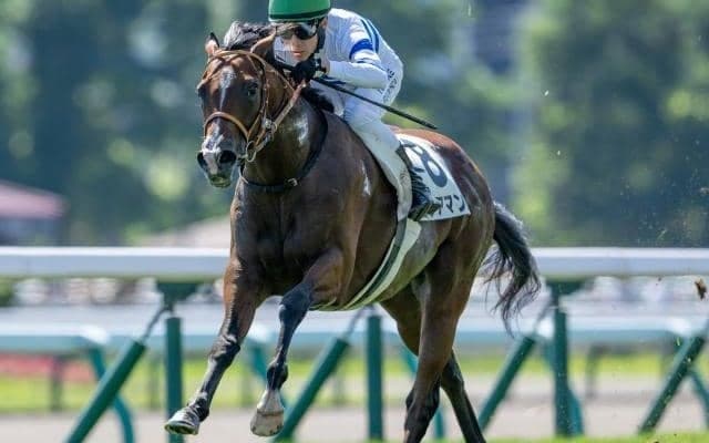 【京王杯2歳S予想オッズ】ヒシアマンが予想1番人気