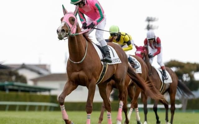 【みやこS予想オッズ】オメガギネスが予想1番人気