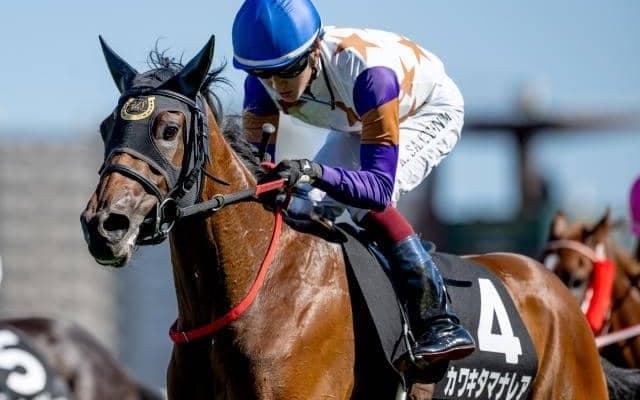 【ファンタジーS予想オッズ】カワキタマナレアが予想1番人気