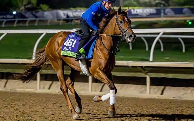 7戦5勝の英G1・2勝馬は「最高レベル」 名伯楽が語ったBCマイルへの手応えとは