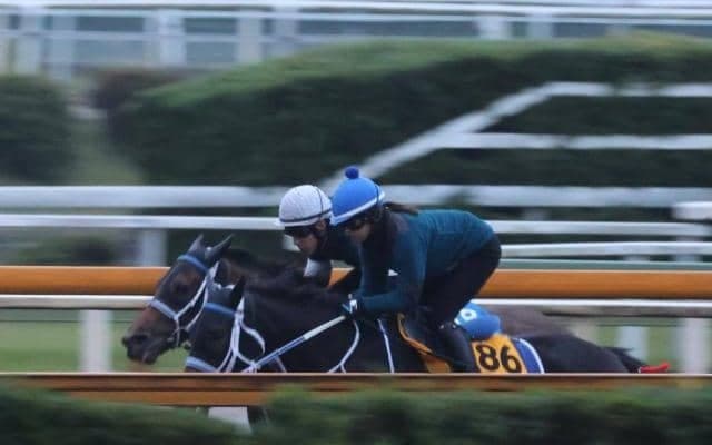 キングズソード、JBCクラシック最終追い切り速報/栗東トレセンニュース