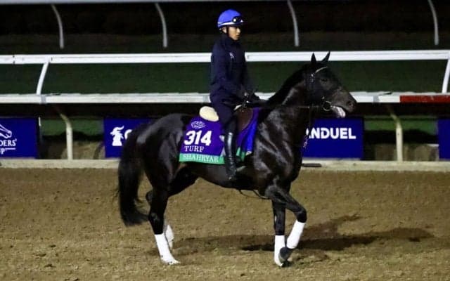 【BCターフ】2年連続出走シャフリヤールは3番ゲートから