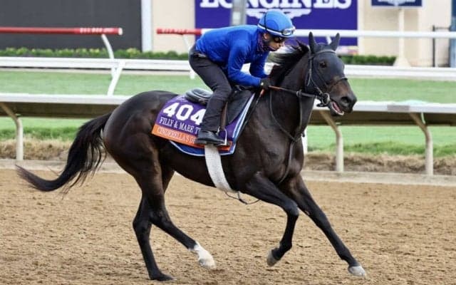 【BCフィリー＆メアターフ】シンデレラズドリームなど強力欧州勢が揃う