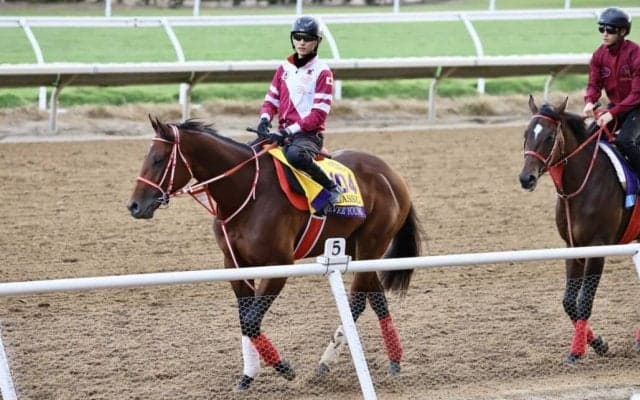 【BCクラシック】フォーエバーヤングは1番ゲートから