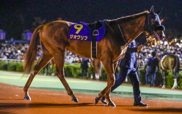 メインに負けない好メンバー集結 ジオグリフとテンハッピーローズが挑むBCマイルを展望