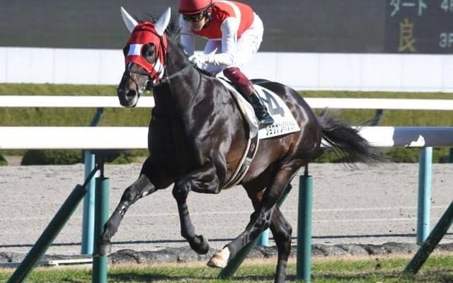 【AR共和国杯予想】上位人気馬の信頼度が高い一戦 AIが狙うのは伸びしろある一頭