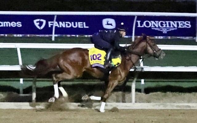 【ブリーダーズカップ】デルマソトガケ体調も万全…出走各馬追い切り