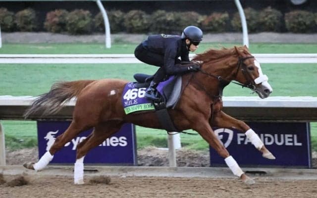 【BCマイル】テンハッピーローズは11番ゲートから